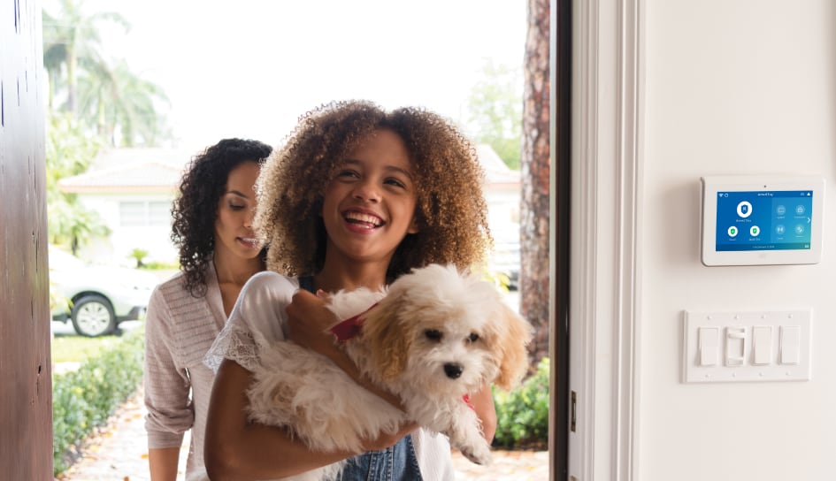 ADT Security System in a Denver home